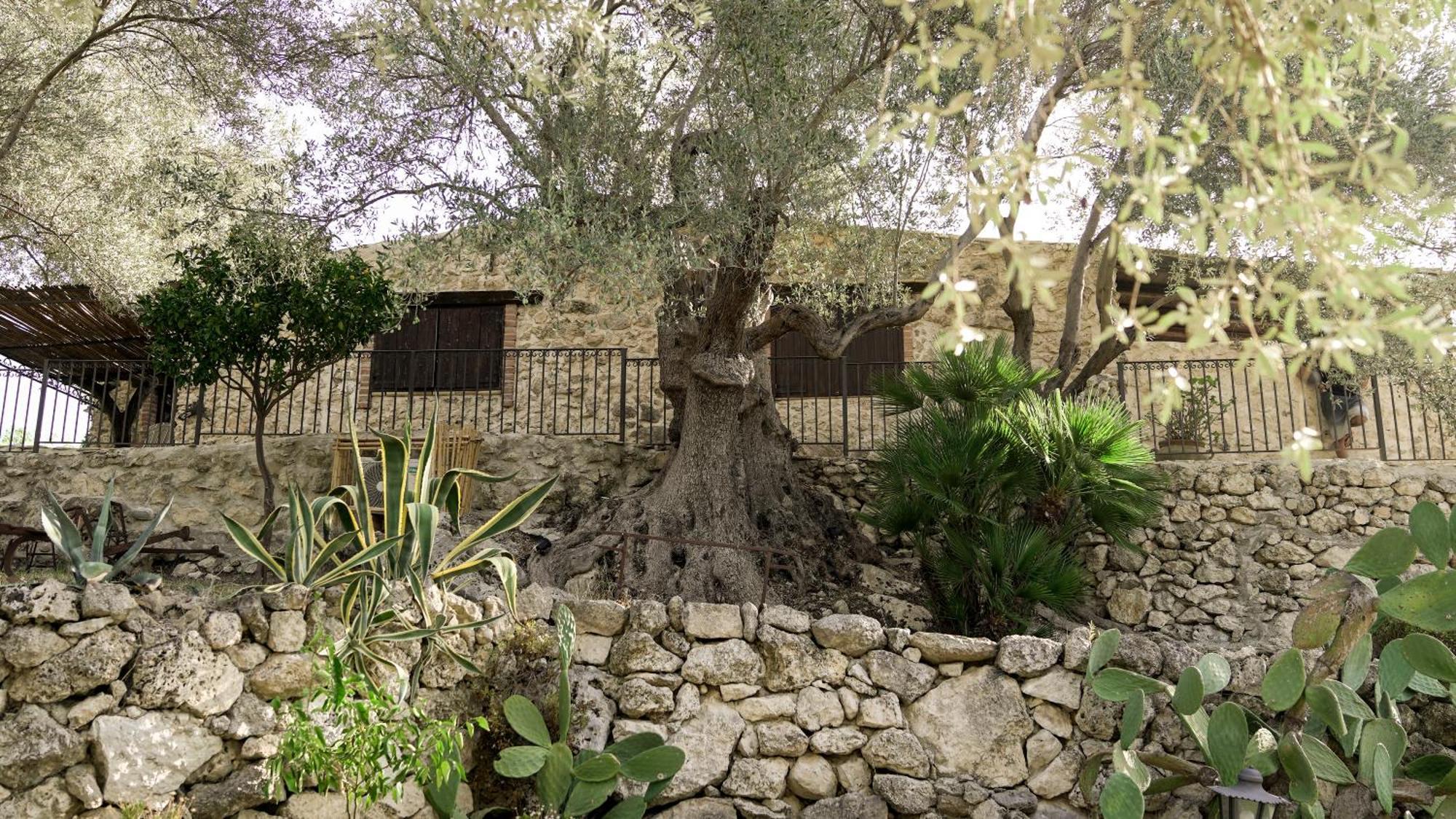 Roba Degli Ulivi Bed & Breakfast Agrigento Eksteriør bilde