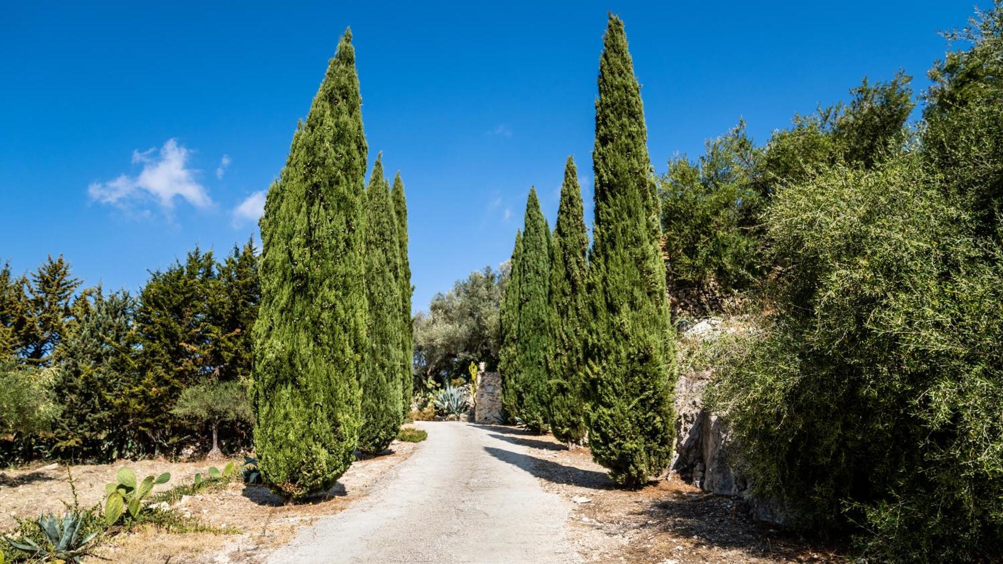 Roba Degli Ulivi Bed & Breakfast Agrigento Eksteriør bilde