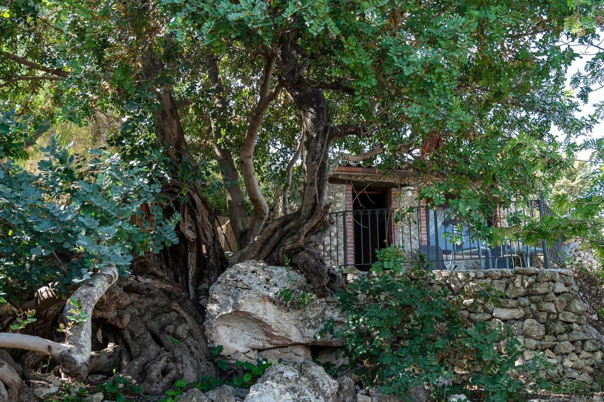 Roba Degli Ulivi Bed & Breakfast Agrigento Eksteriør bilde